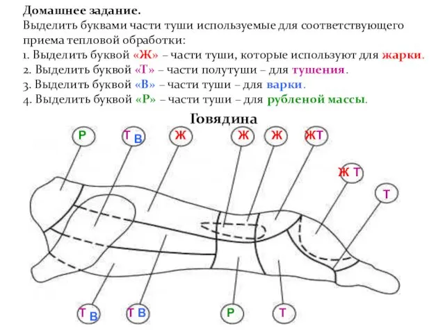 Говядина Ж Домашнее задание. Выделить буквами части туши используемые для