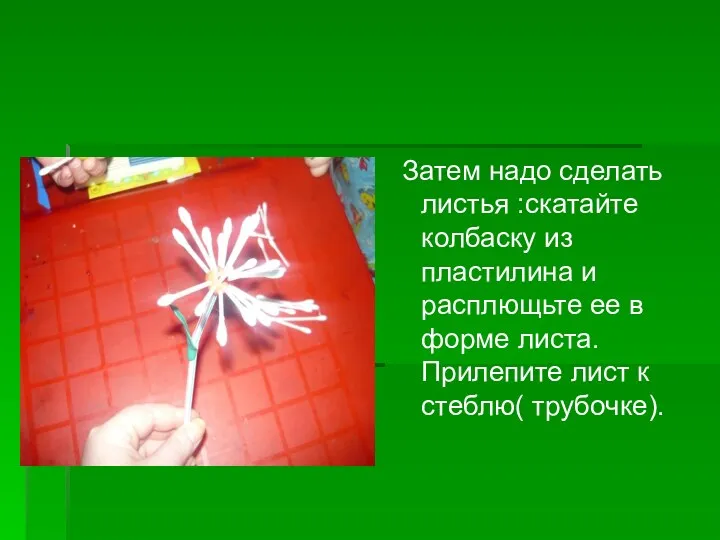 Затем надо сделать листья :скатайте колбаску из пластилина и расплющьте ее в форме