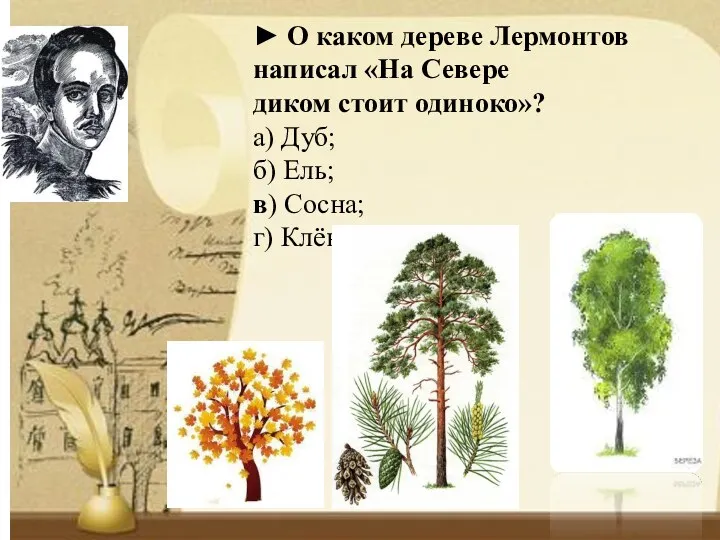 ► О каком дереве Лермонтов написал «На Севере диком стоит одиноко»? а) Дуб;
