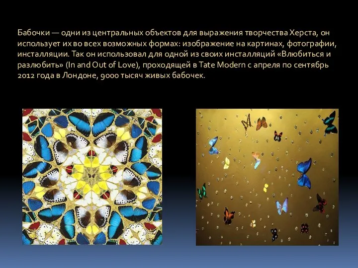 Бабочки — одни из центральных объектов для выражения творчества Херста, он использует их