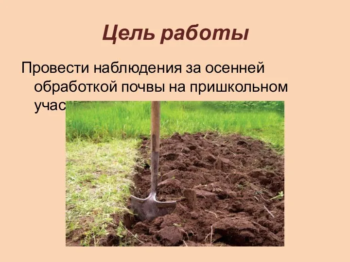 Цель работы Провести наблюдения за осенней обработкой почвы на пришкольном участке.