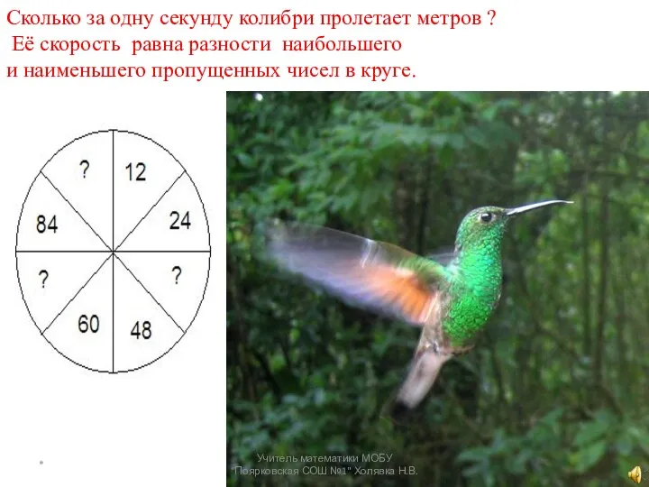 Сколько за одну секунду колибри пролетает метров ? Её скорость