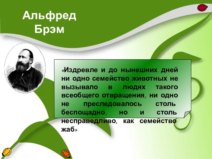 Альфред Брэм «Издревле и до нынешних дней ни одно семейство