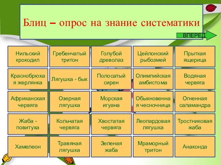 5 Травяная лягушка Нильский крокодил Лягушка - бык Полосатый сирен