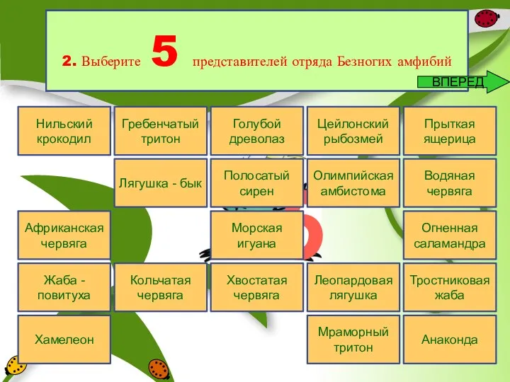 5 Африканская червяга Кольчатая червяга Хвостатая червяга Цейлонский рыбозмей Водяная