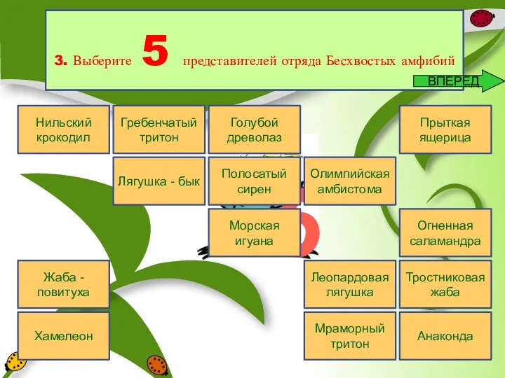 5 5. К какому классу принадлежат 5 оставшихся представителей? 4.