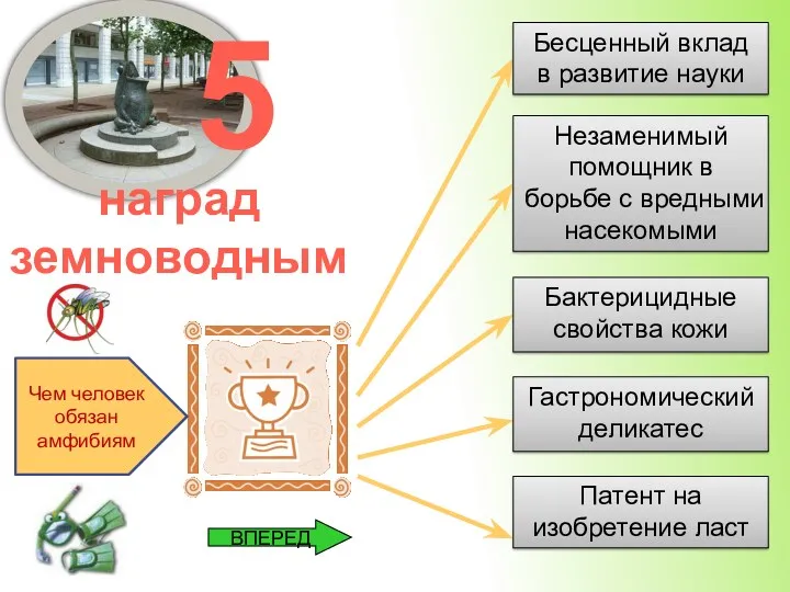 5 наград земноводным Чем человек обязан амфибиям Бесценный вклад в