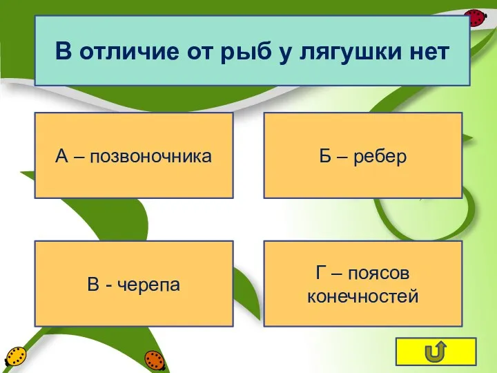 В отличие от рыб у лягушки нет А – позвоночника