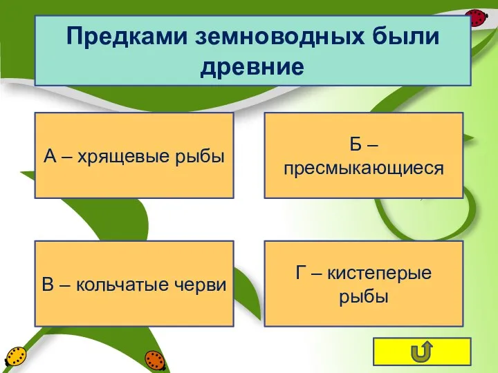 Предками земноводных были древние А – хрящевые рыбы Г –