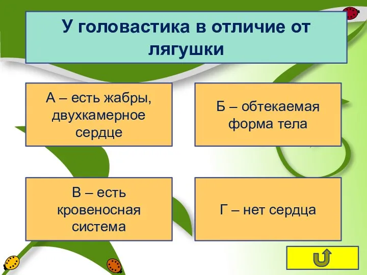 У головастика в отличие от лягушки А – есть жабры,