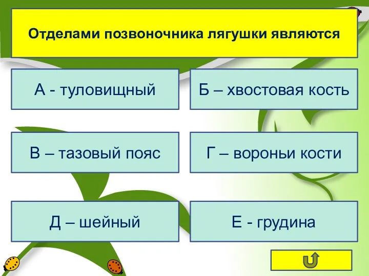 Отделами позвоночника лягушки являются А - туловищный В – тазовый