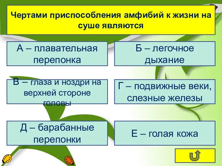 Чертами приспособления амфибий к жизни на суше являются А –