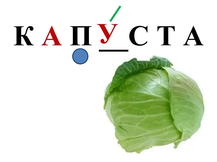 К А П __С Т А У