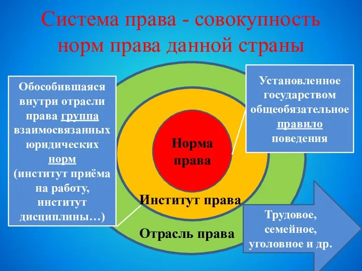 Система права - совокупность норм права данной страны Норма права