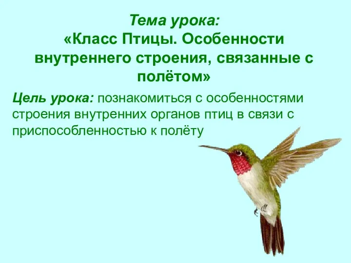 Тема урока: «Класс Птицы. Особенности внутреннего строения, связанные с полётом»