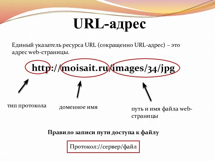 URL-адрес Единый указатель ресурса URL (сокращенно URL-адрес) – это адрес