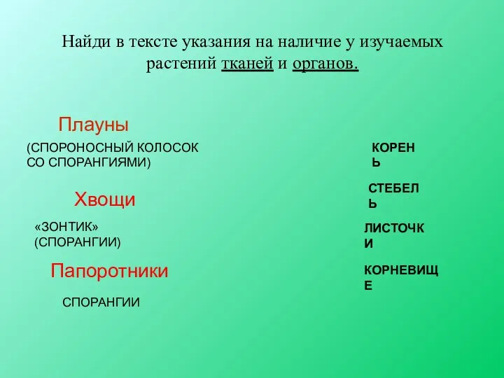 Найди в тексте указания на наличие у изучаемых растений тканей