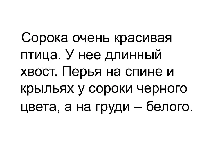 Сорока очень красивая птица. У нее длинный хвост. Перья на