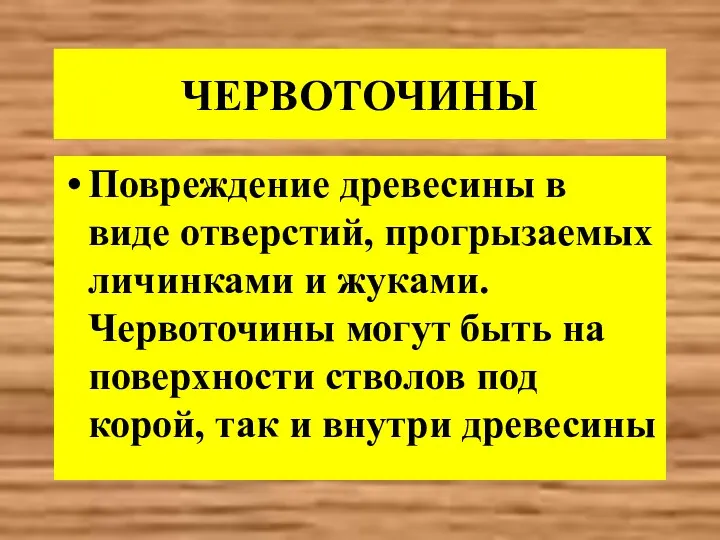 ЧЕРВОТОЧИНЫ Повреждение древесины в виде отверстий, прогрызаемых личинками и жуками.