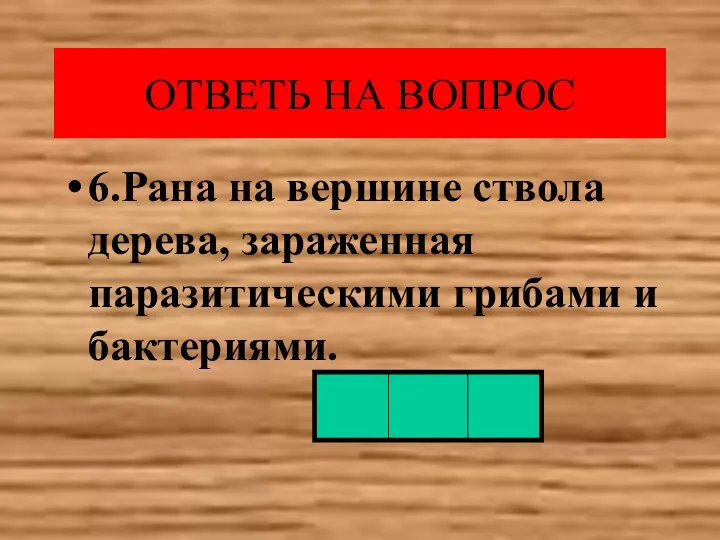 6.Рана на вершине ствола дерева, зараженная паразитическими грибами и бактериями. ОТВЕТЬ НА ВОПРОС