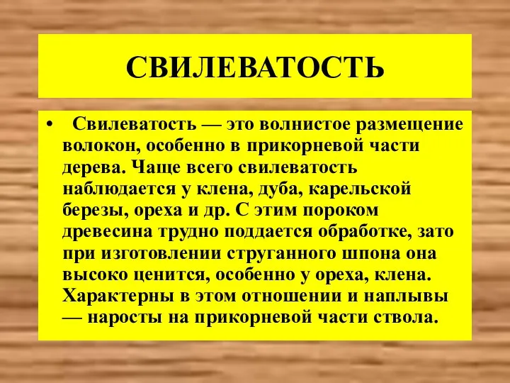 СВИЛЕВАТОСТЬ Свилеватость — это волнистое размещение волокон, особенно в прикорневой