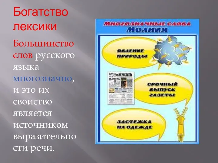 Богатство лексики Большинство слов русского языка многозначно, и это их свойство является источником выразительности речи.