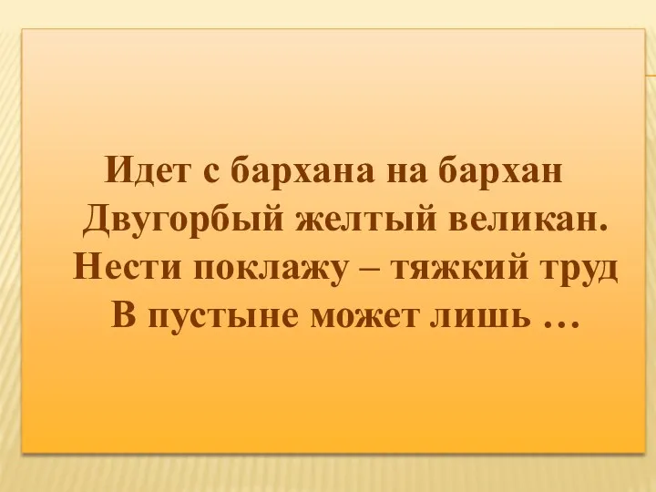 Идет с бархана на бархан Двугорбый желтый великан. Нести поклажу