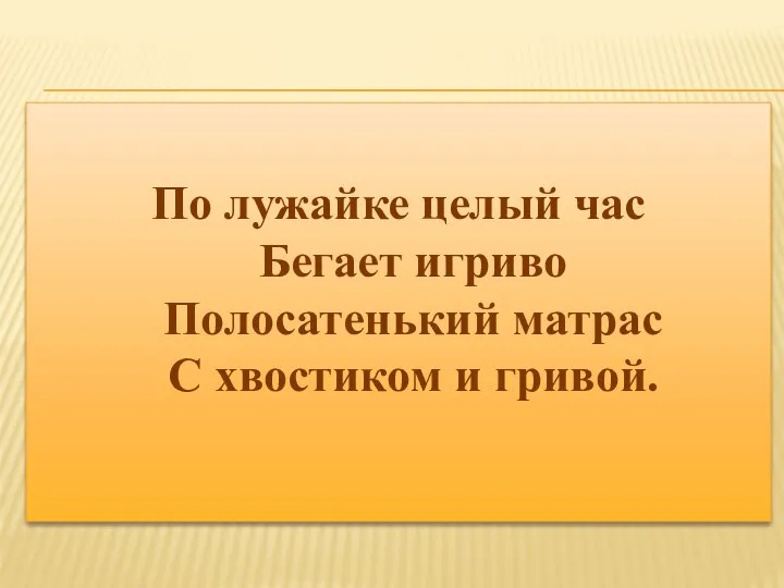 По лужайке целый час Бегает игриво Полосатенький матрас С хвостиком и гривой.