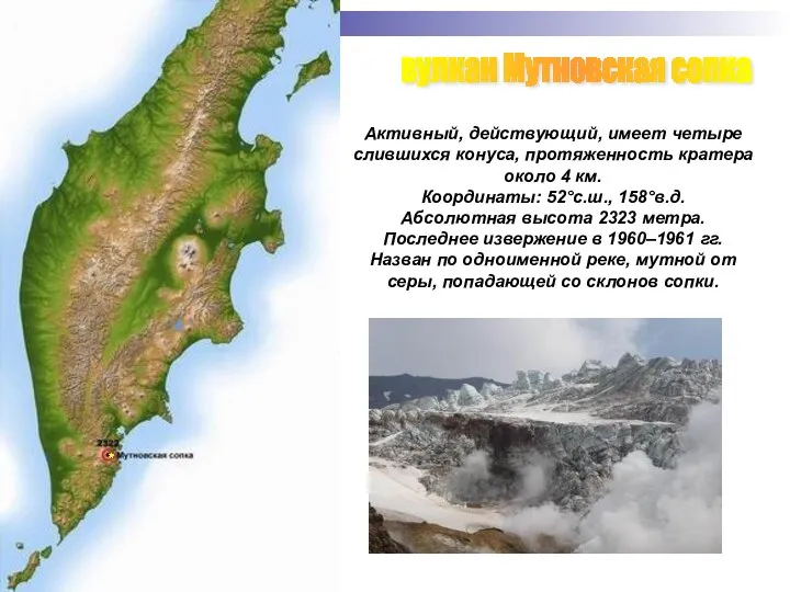 вулкан Мутновская сопка Активный, действующий, имеет четыре слившихся конуса, протяженность