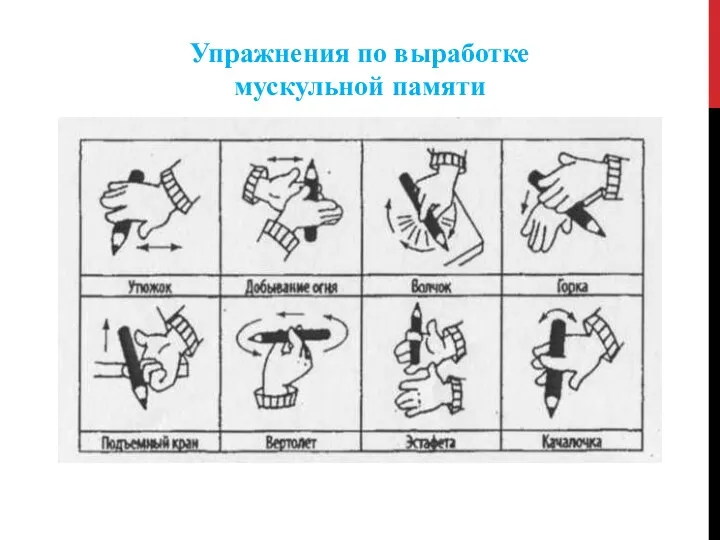 Упражнения по выработке мускульной памяти