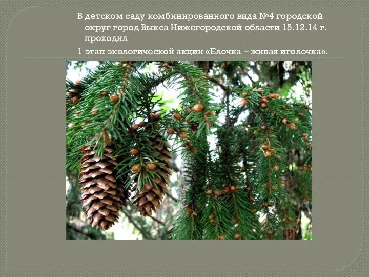 В детском саду комбинированного вида №4 городской округ город Выкса