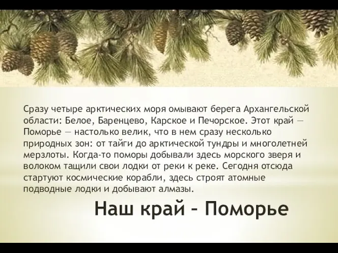 Наш край – Поморье Сразу четыре арктических моря омывают берега