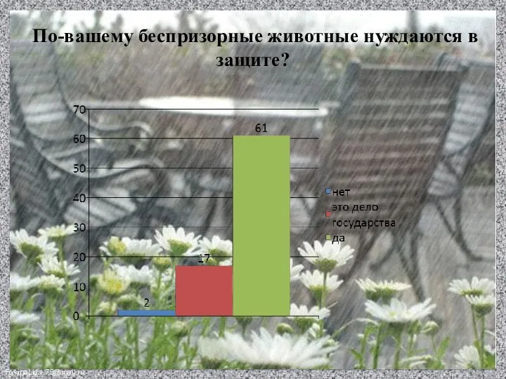 По-вашему беспризорные животные нуждаются в защите?