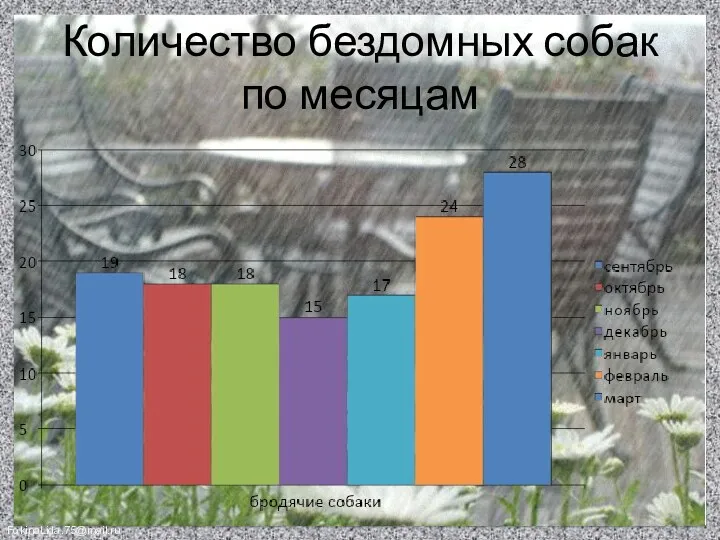 Количество бездомных собак по месяцам