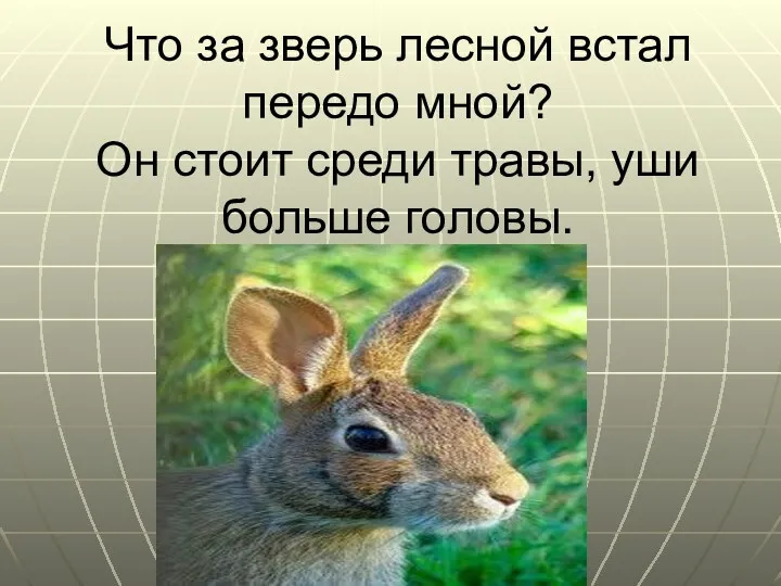 Что за зверь лесной встал передо мной? Он стоит среди травы, уши больше головы.