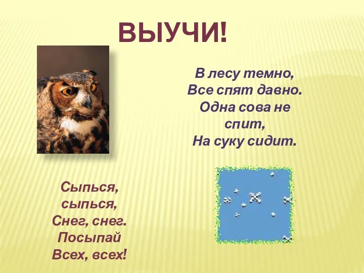 Выучи! В лесу темно, Все спят давно. Одна сова не спит, На суку