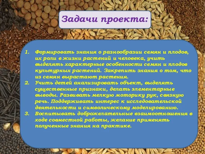 Задачи проекта: Формировать знания о разнообразии семян и плодов, их