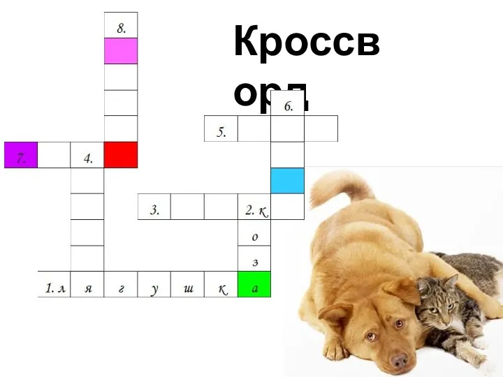 Кроссворд