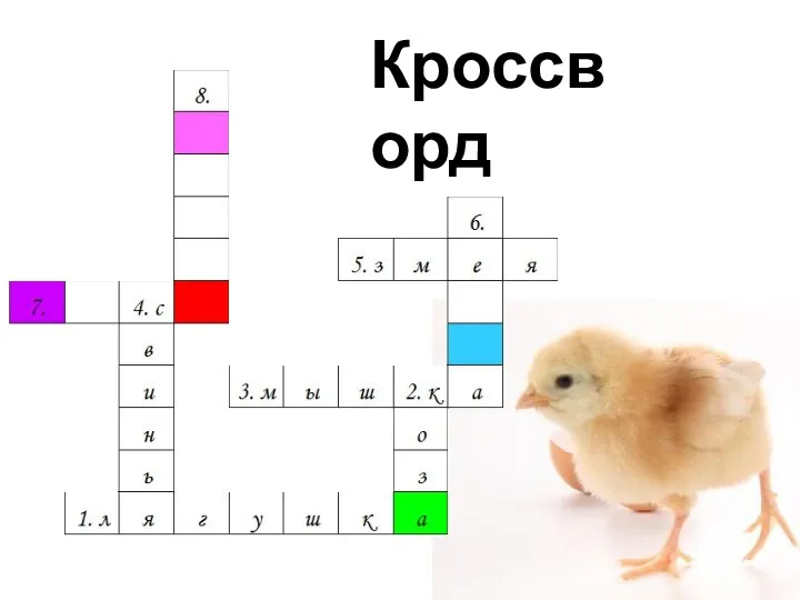 Кроссворд