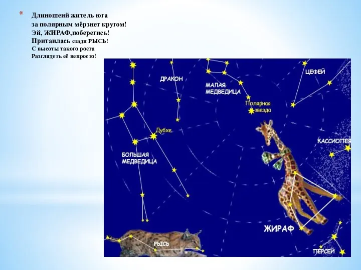 Длиношеий житель юга за полярным мёрзнет кругом! Эй, ЖИРАФ,поберегись! Притаилась сзади РЫСЬ! С