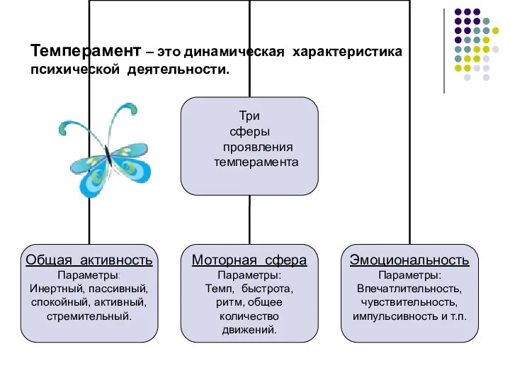 Темперамент – это динамическая характеристика психической деятельности.