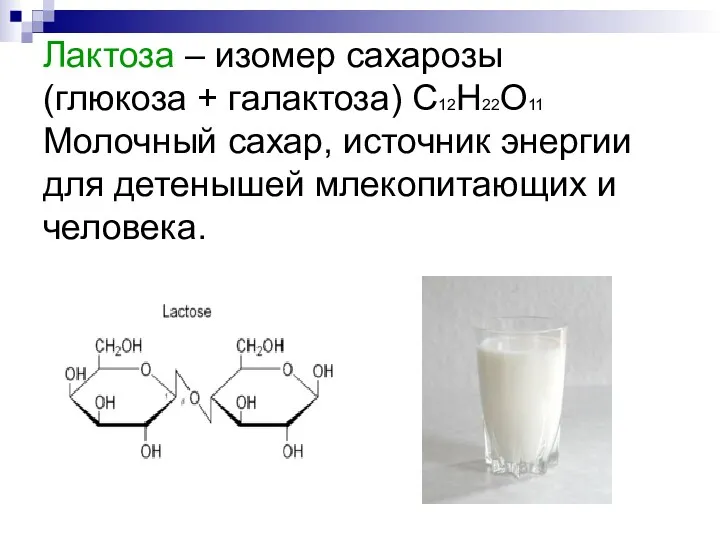 Лактоза – изомер сахарозы (глюкоза + галактоза) С12Н22О11 Молочный сахар, источник энергии для