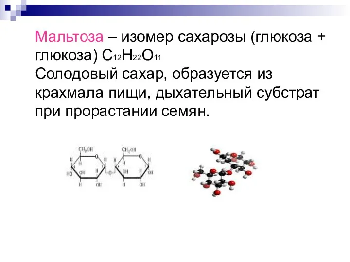 Мальтоза – изомер сахарозы (глюкоза + глюкоза) С12Н22О11 Солодовый сахар, образуется из крахмала