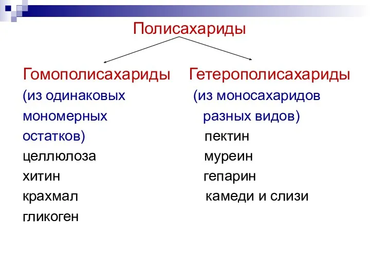 Полисахариды Гомополисахариды Гетерополисахариды (из одинаковых (из моносахаридов мономерных разных видов)