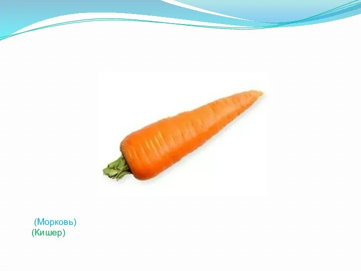 (Морковь) (Кишер)