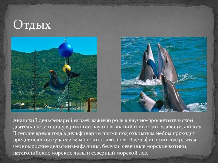 Анапский дельфинарий играет важную роль в научно-просветительской деятельности и популяризации научных знаний о