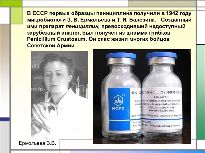 В СССР первые образцы пенициллина получили в 1942 году микробиологи