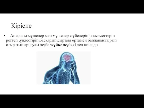 Кіріспе Ағзадағы мүшелер мен мүшелер жүйелерінің қызметтерін реттеп ,үйлестіріп,басқарып,сыртқы ортамен