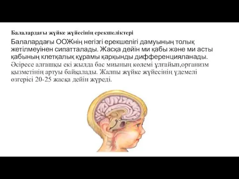 Балалардағы ООЖнің негізгі ерекшелігі дамуының толық жетілмеуінен сипатталады. Жасқа дейін