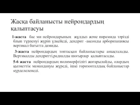 Жасқа байланысты нейрондардың қалыптасуы 1-жаста бас ми нейрондарының жұлдыз және